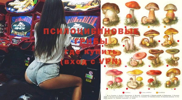 гашиш Ельня
