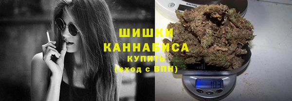 спиды Дмитриев