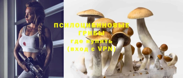 СК Елабуга