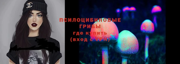 СК Елабуга