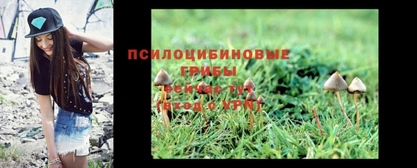 СК Елабуга
