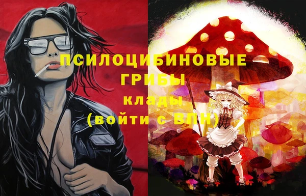 метамфетамин Елизово