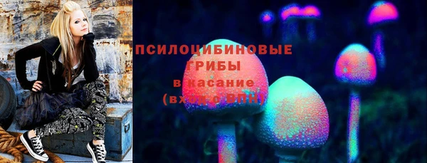 гашиш Ельня
