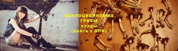 СК Елабуга