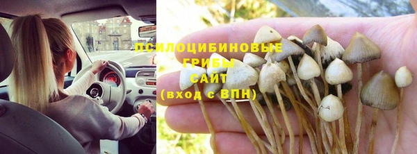 гашиш Ельня